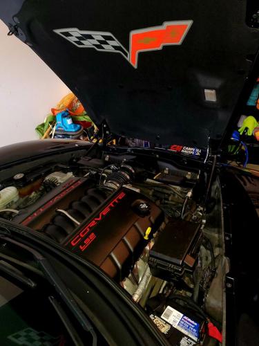Engine Cleaning